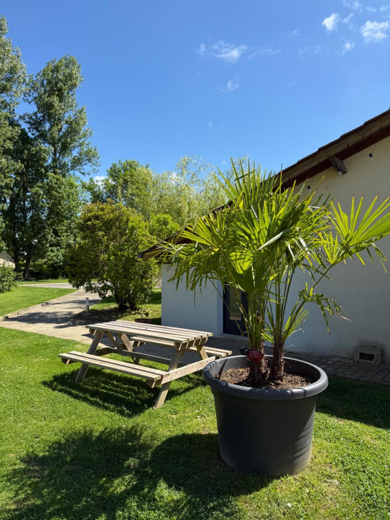 查米尔公园酒店 Saint-Étienne-sur-Reyssouze 外观 照片